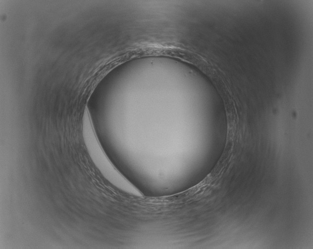 X0000053161157200507111108