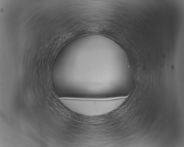 X0000053161201200507111107