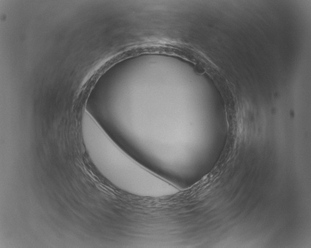 X0000053161208200507111107