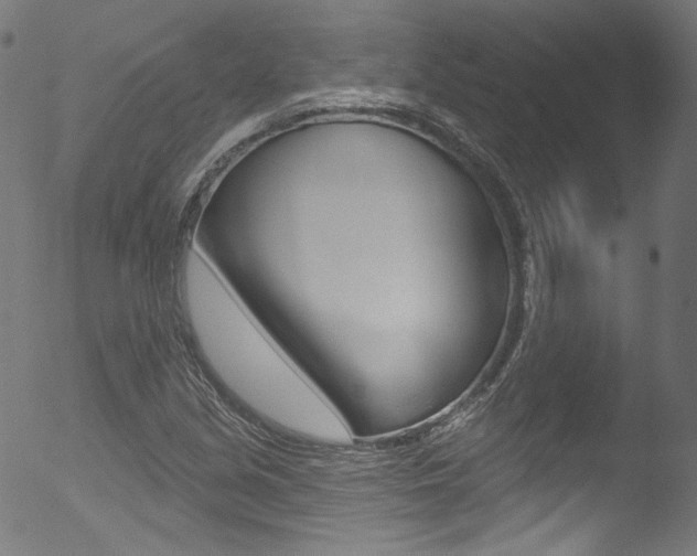 X0000053161213200507111107