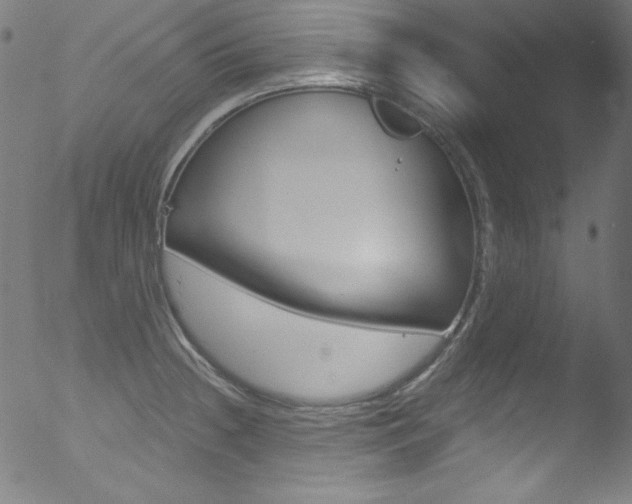 X0000053161236200507111108