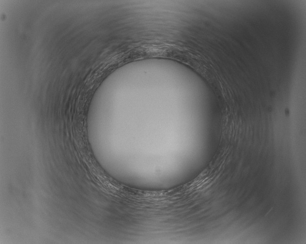 X0000053161249200507111107