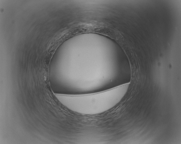 X0000053161253200507111107
