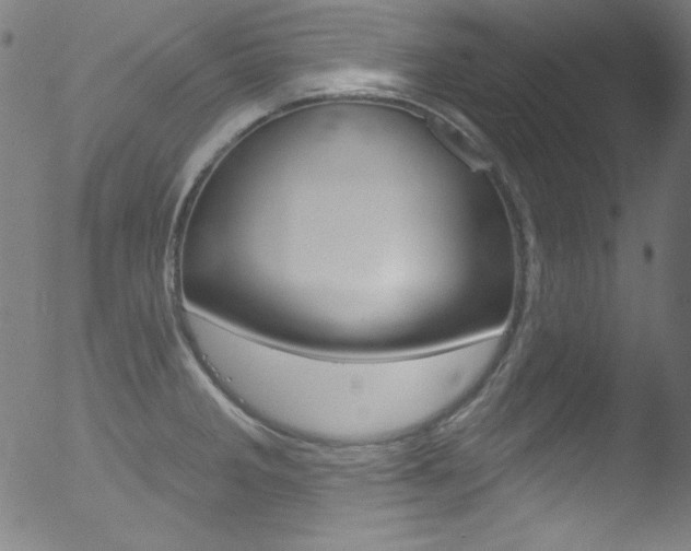 X0000053161285200507111106