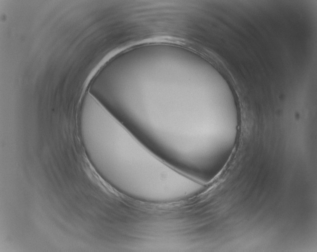 X0000053161292200507111106