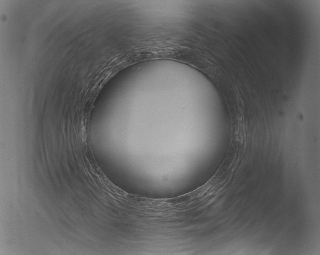 X0000053161298200507111105