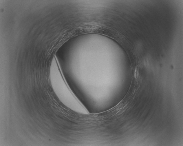 X0000053161299200507111105