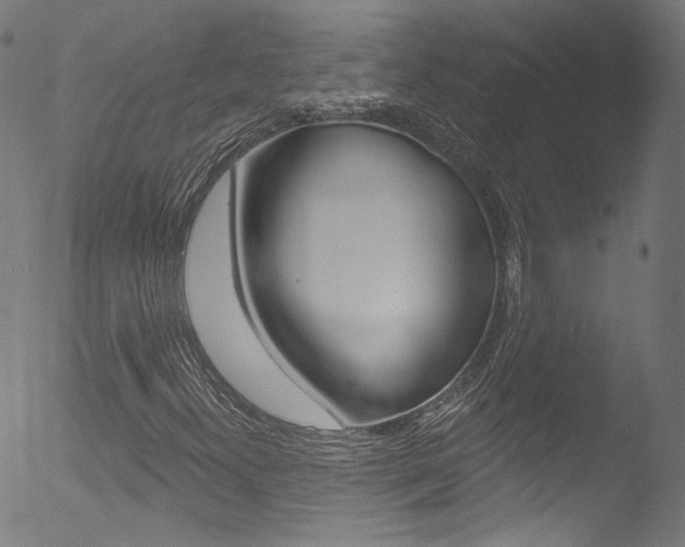 X0000053161300200507111105