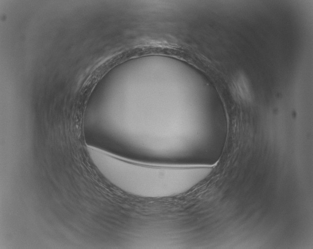 X0000053161303200507111105