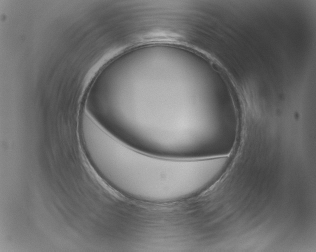X0000053161333200507111106