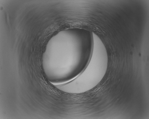 X0000053161345200507111105