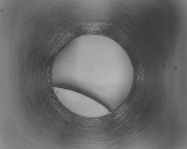 X0000053161346200507111105
