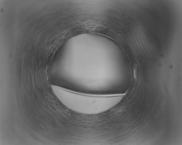 X0000053161347200507111105