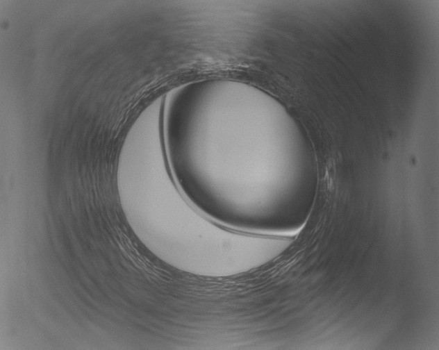 X0000053161348200507111105