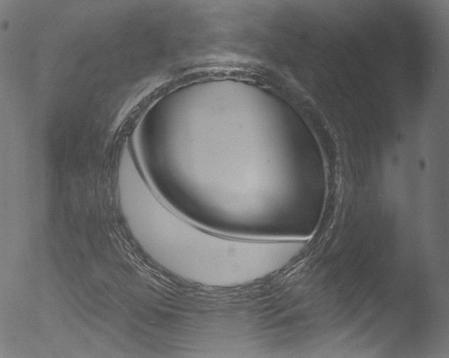 X0000053161352200507111105
