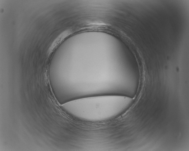 X0000053161362200507111105