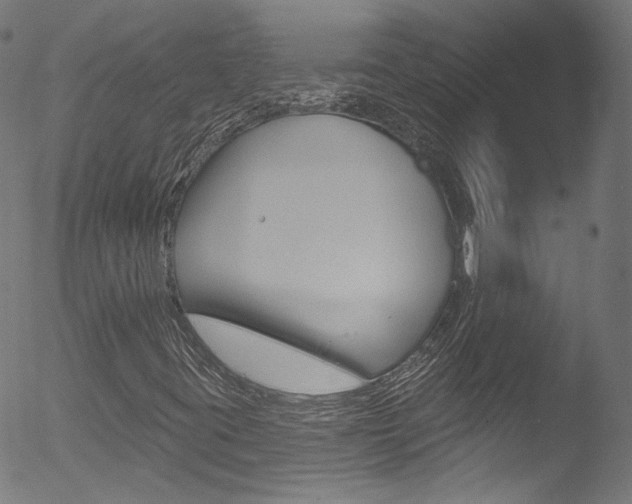 X0000053161395200507111104