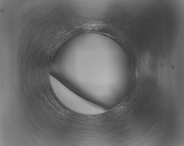 X0000053161396200507111104