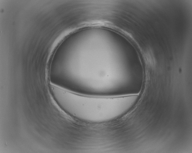 X0000053161424200507111104