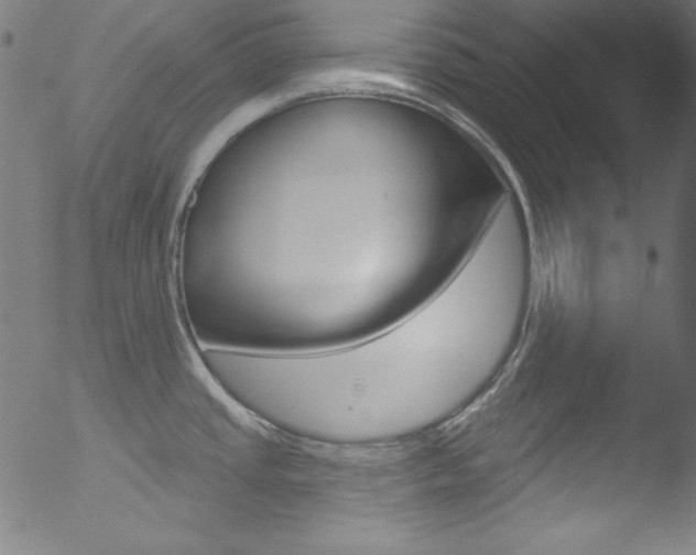 X0000053161437200507111104