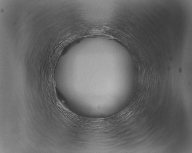 X0000053161441200507111104