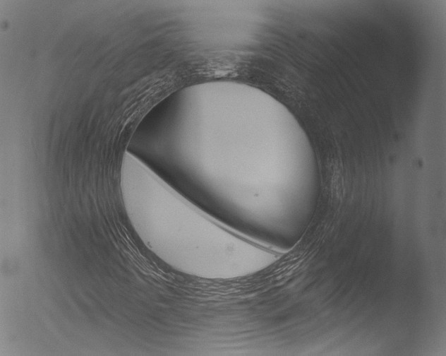 X0000053161442200507111104