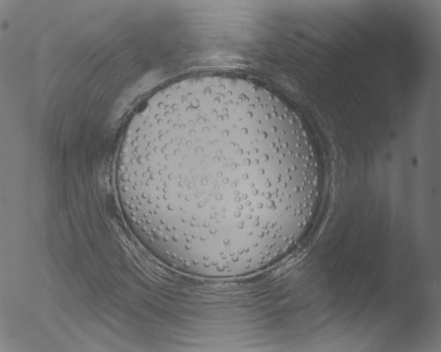 X0000053161451200507111104