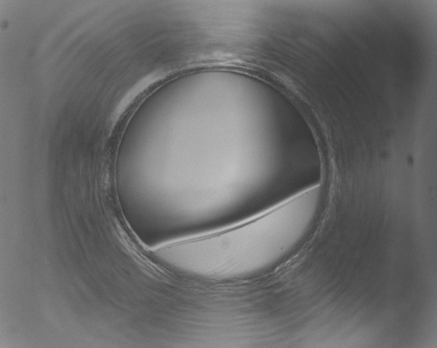 X0000053161458200507111103