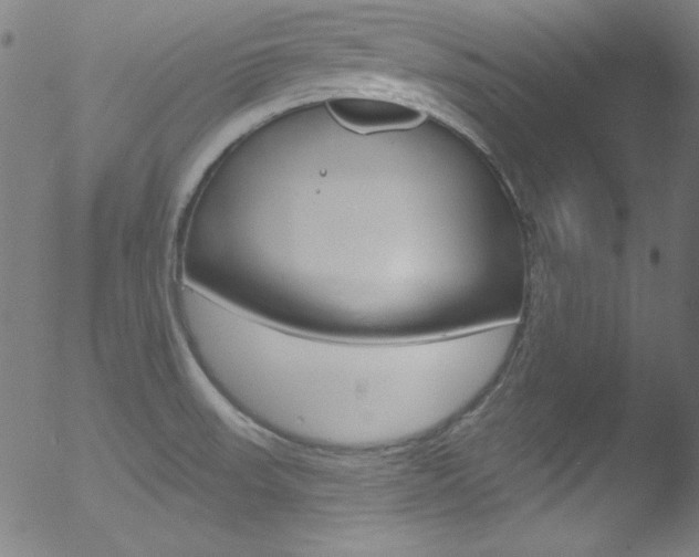 X0000053161523200507111103