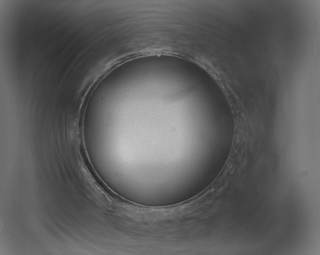 X0000053160002200507111519
