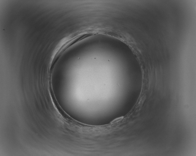 X0000053160003200507111519