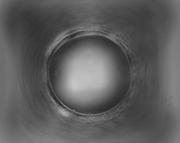 X0000053160005200507111519