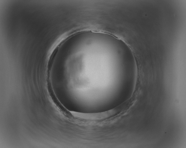 X0000053160007200507111519