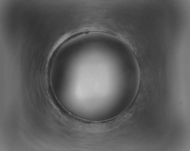 X0000053160008200507111519