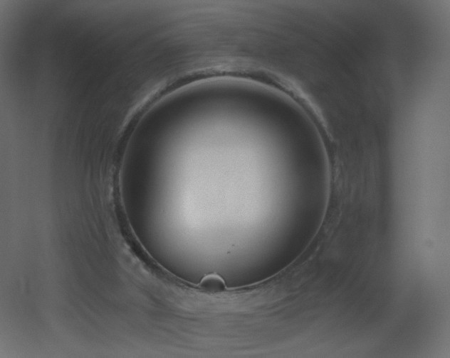 X0000053160010200507111519
