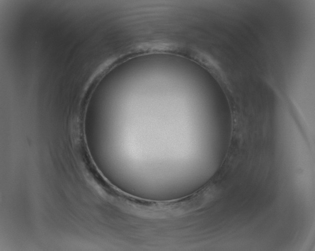 X0000053160012200507111519