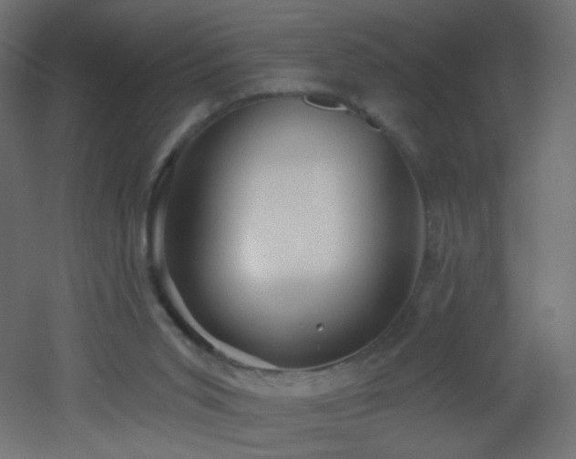 X0000053160015200507111519