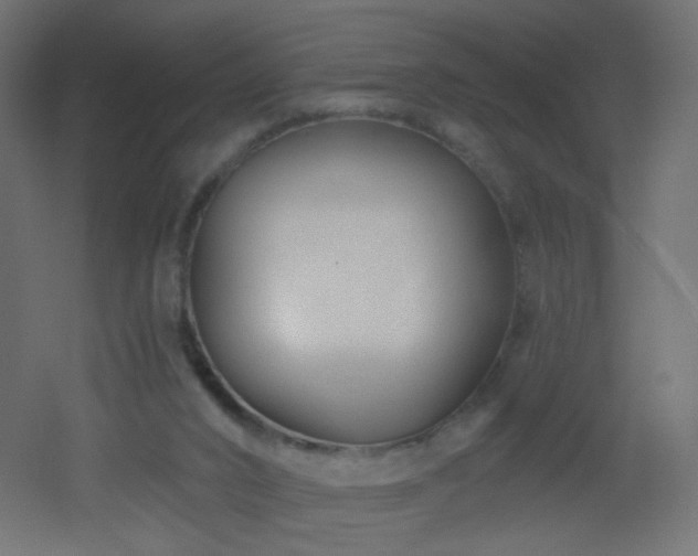 X0000053160016200507111519