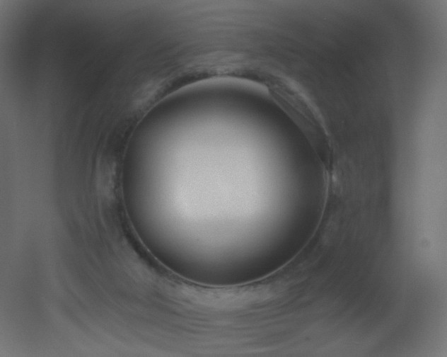 X0000053160018200507111519