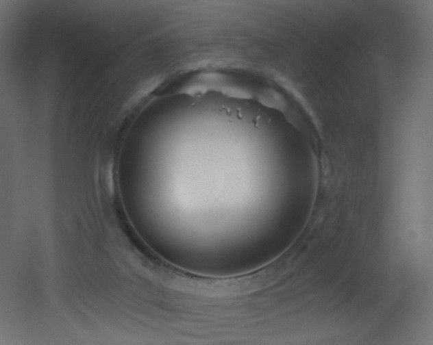 X0000053160019200507111519