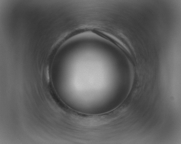 X0000053160020200507111519