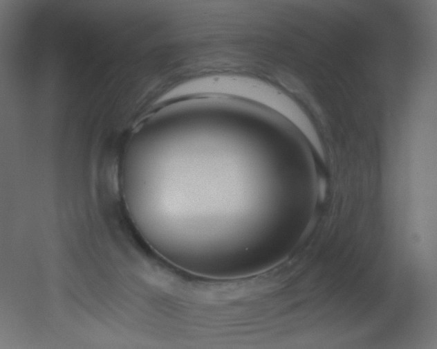 X0000053160021200507111519