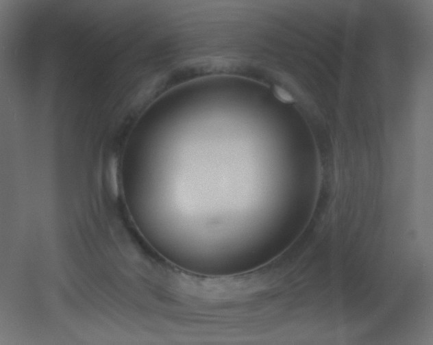 X0000053160022200507111519
