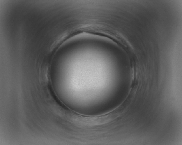 X0000053160023200507111519