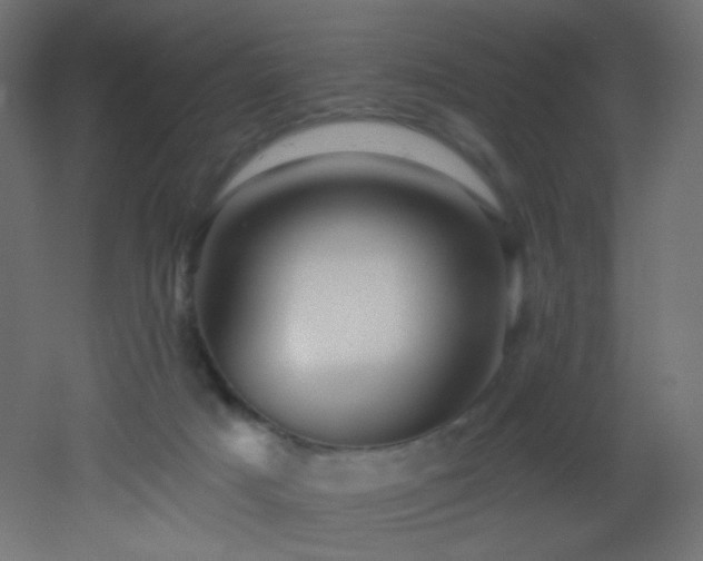 X0000053160025200507111519