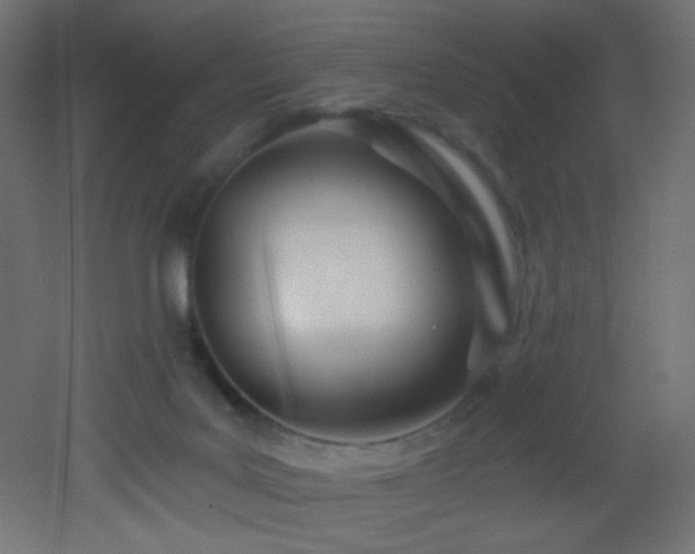 X0000053160027200507111519