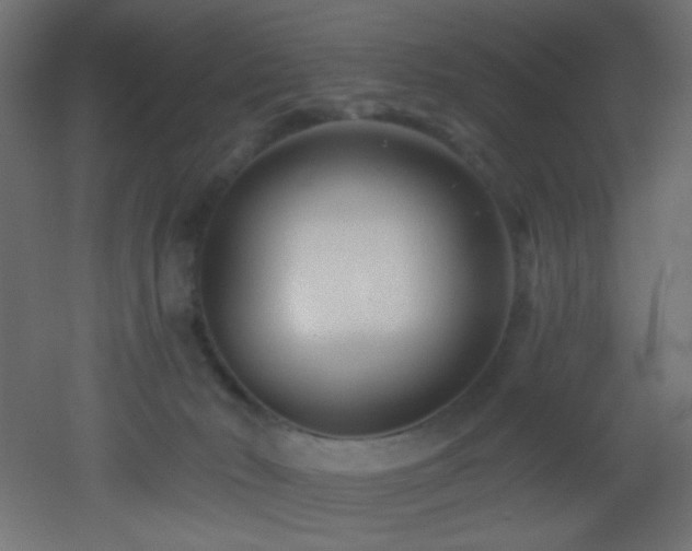 X0000053160030200507111519