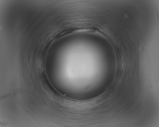 X0000053160031200507111519