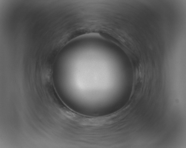 X0000053160033200507111519