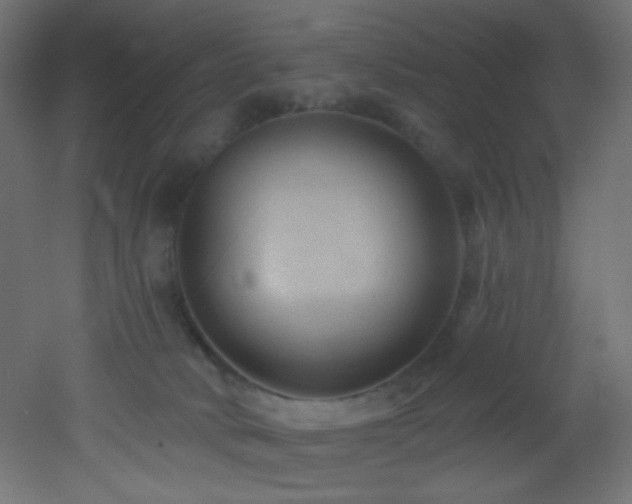 X0000053160034200507111519